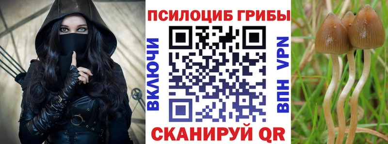 omg сайт Иваново Псилоцибиновые грибы мицелий